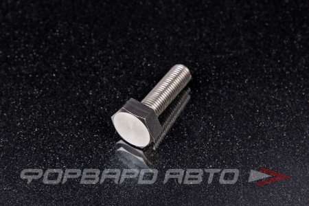 Купить Болт М10*1,25*35*35 SW19 титановый FORA TITANIUM 