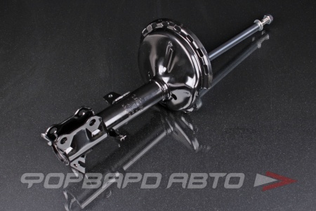 Купить Амортизатор задний, правый MILES DG21319-01