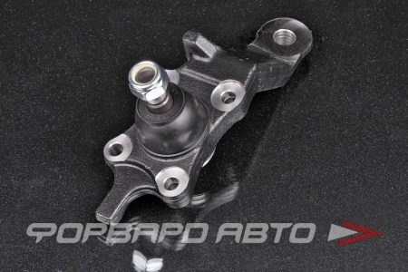 Купить Опора шаровая, правая CTR CB0395R