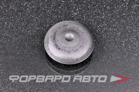 Купить Заглушка кузова D-20 VAG N 107 464 01