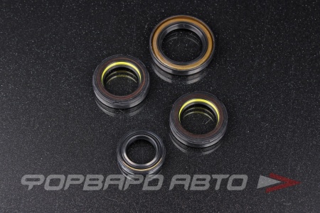 Купить Ремкомплект рулевой рейки (Renault Logan, Sandero, Lada Largus, X-Ray) Motorherz HKZ0164