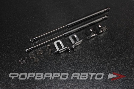 Купить Амортизаторы капота MAZDA 3 5D / Axela BK3P 2006-2009 AUTOBAHN88 