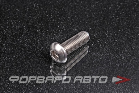 Купить Винт полукруглый под внутренний шестигранник М10*30 <> (iSO 7380-1)A2