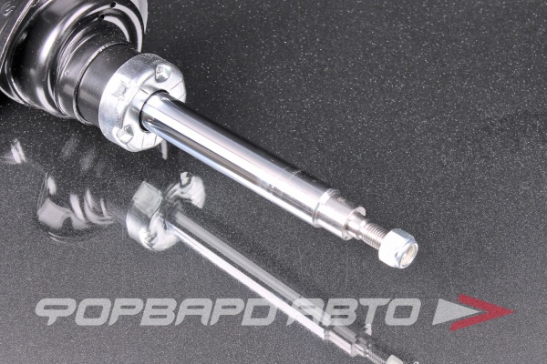 Амортизатор передний, левый MILES DG11809-01