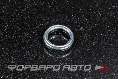 Купить Кольцо уплотнительное пробки поддона 12*16,5 VAG 09D 321 181 B