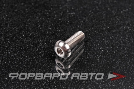 Купить Винт M5*0,8*16 титановый полукруглая головка, внутренний шестигранник FORA TITANIUM ISO7380-5*16Ti