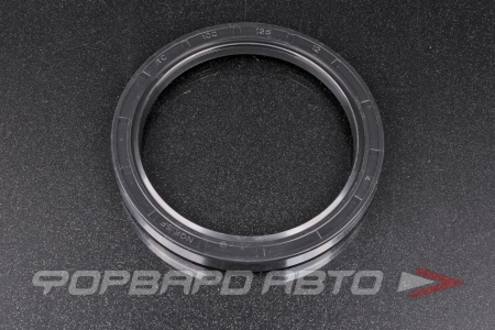 Купить Сальник 100*125*12 (TC) NQK 100*125*12 TC