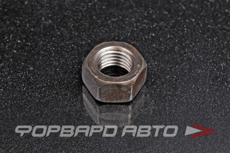 Купить Гайка шестигранная М16*2 сталь. СИБИРЬ 