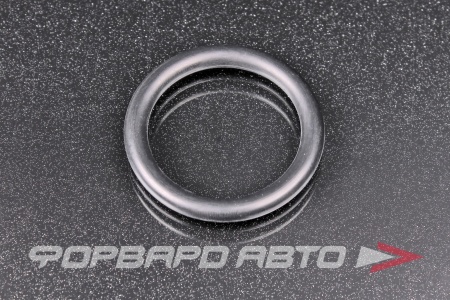 Купить Кольцо уплотнительное HYUNDAI / KIA 25432-27000