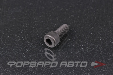 Купить Винт цилиндр. с внутренним шестигранником М8*1,25*20 DIN912 высокопр. пр.12.9  DIN912М8L20