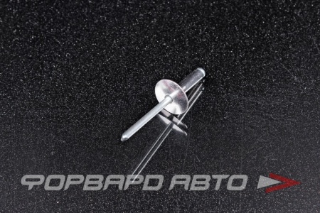 Купить Заклепка вытяжная 4,8*18/16мм алюминий/сталь с широким бортом 16мм  