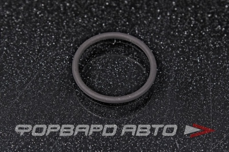 Купить Кольцо уплотнительное топливной форсунки HYUNDAI / KIA 33805-2A000