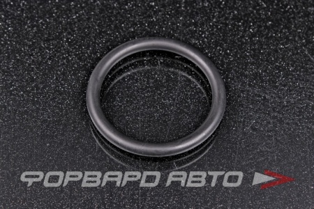 Купить Кольцо уплотнительное системы охлаждения VAG N 907 653 01