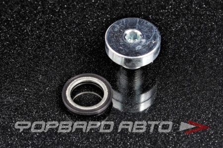 Купить Пробка сливная 10*1,0 масляного поддона FA1 257.869.011