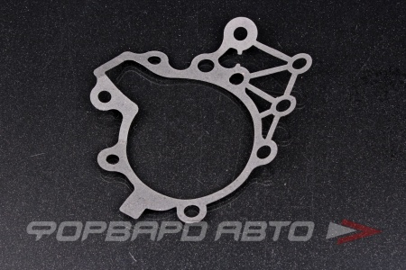 Купить Прокладка водяного насоса HAVAL 1307012ED01