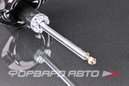 Купить Амортизатор передний, правый MILES DG21295-01