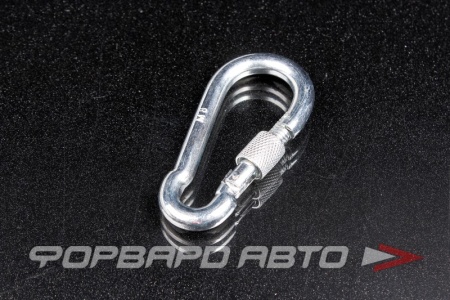 Купить Карабин пожарный с предохранительной гайкой  8-80 TOHO 4139