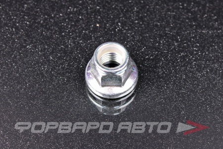 Купить Гайка NISSAN 01223-00231-KT