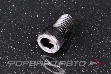 Купить Винт цилиндр. с внутренним шестигранником М6*12 DIN912 высокопр. пр.12,9  