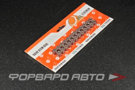 Купить Колпачки маслосъемные VQ20DE (1/24) NISSAN (M=ACM) ITE IVS090030-I00