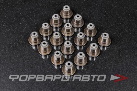 Купить Колпачки маслосъемные 4B10 (1/16) MITSUBISHI (M=FKM) ITE IVS081570-I00