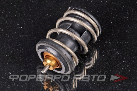 Купить Термостат (термоэлемент) BORSEHUNG B18261