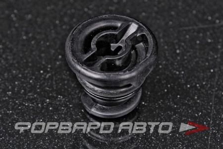 Купить Пробка сливная масляного поддона, пластиковая VAG 06L 103 801