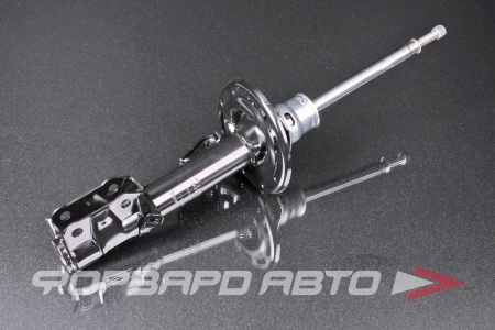 Купить Амортизатор передний, левый MILES DG11754