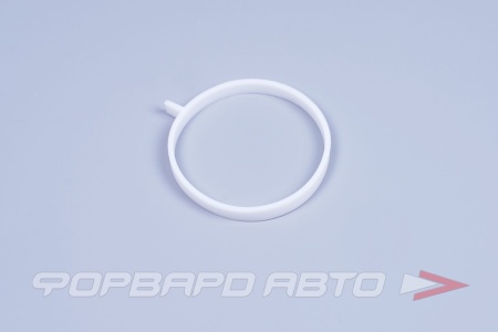 Купить Прокладка дроссельной заслонки ROSTECO 20667