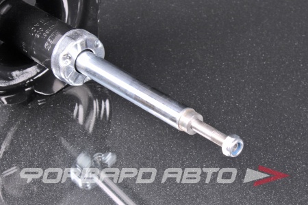 Купить Амортизатор передний, левый MILES DG11561