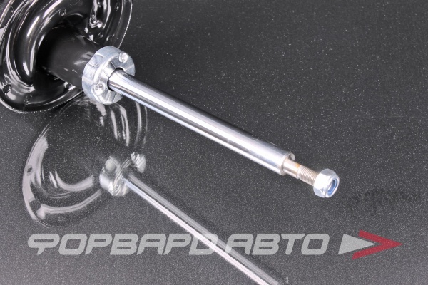 Амортизатор задний, правый MILES DG22002