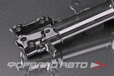 Купить Амортизатор задний, правый MILES DG21312-01