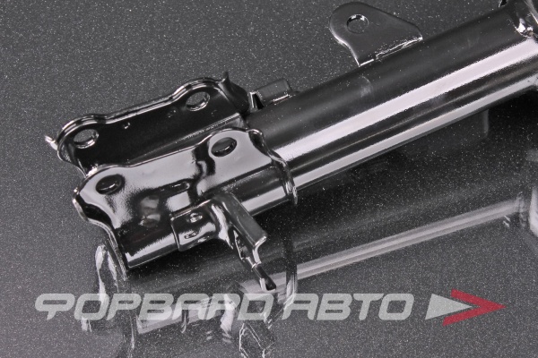 Амортизатор задний, правый MILES DG21312-01