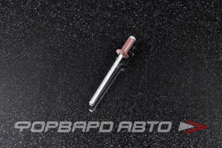 Купить Заклепка вытяжная 3,2*8 алюминий/сталь RAL8017 темно-коричневый  