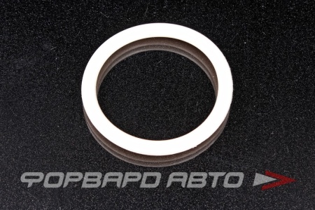 Купить Прокладка дроссельной заслонки, большая RENAULT ROSTECO 20760