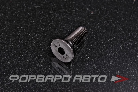 Купить Винт потайн. гол. внутр. шестигр. М10*30 DIN 7991 кл.пр.10,9 <> 