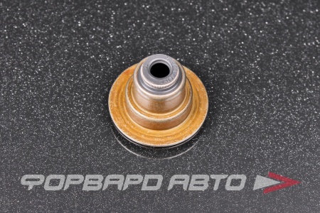 Купить Колпачок маслосъёмный VICTOR REINZ 70-35547-00