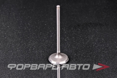 Купить Клапан впускной N-ROCKY SA-44-0