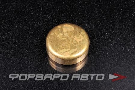 Купить Заглушка блока двигателя WPB-38мм  