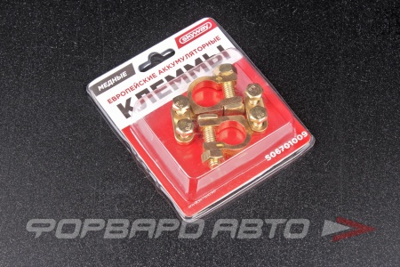 Купить Клемма аккумуляторная "±" (медь) Европейская SKYWAY S06701009