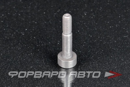 Купить Болт М6*1,0*30 NISSAN 13058-1N500