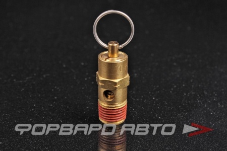 Купить Клапан предохранительный 1/4" PT THB 
