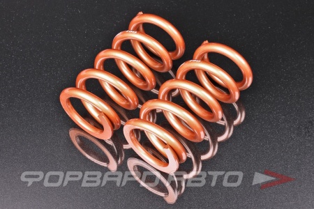 Купить Пружины для койловеров 16 кг, длина 178мм, ID65мм, универсальные SWIFT Z65-178-160