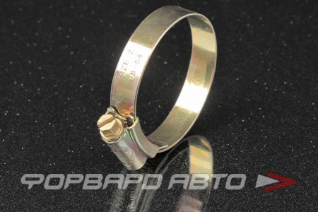 Купить Хомут червячный 40-55мм (38-54) ORBIT OBW1-2