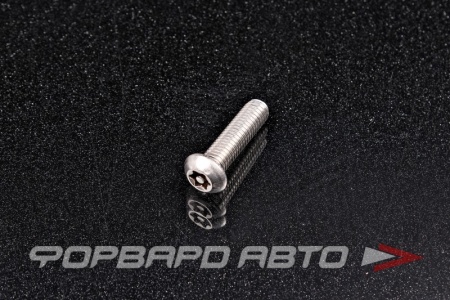 Купить Винт секретн. полукр. головка внутр. звезд. со штифтом М 8х30 TX-PIN 40 А2 нерж.  АРТ 9121