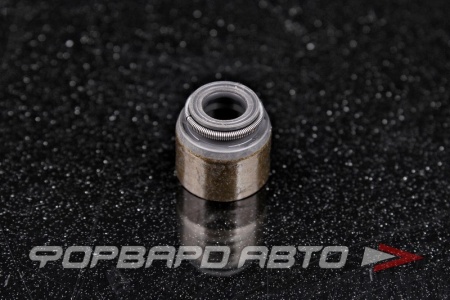 Купить Колпачок маслосъемный NOK BV3006-H0