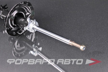 Купить Амортизатор передний, правый MILES DG21669