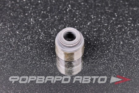 Купить Колпачок маслосъемный NOK BV1483-H0