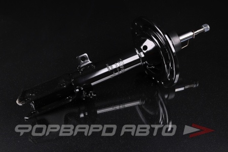 Купить Амортизатор задний, правый MILES DG21069