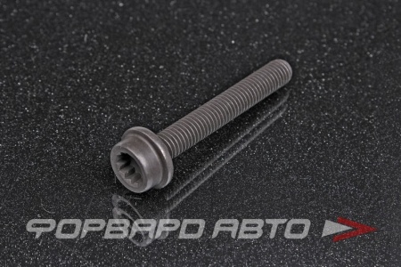 Купить Болт М8*1,25*55 гзвездочки цепи, Torx VAG N 105 449 04